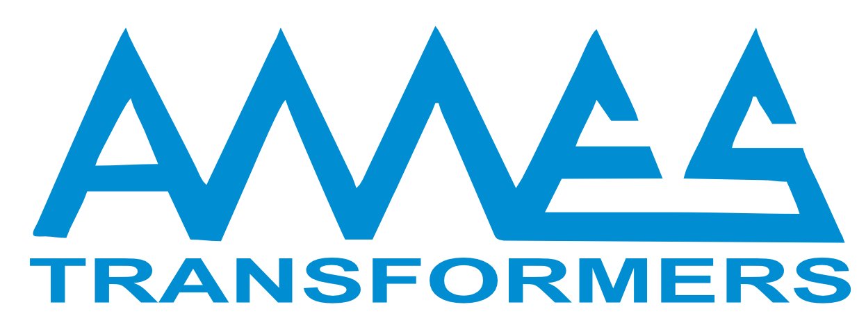 AMISS-logo-2